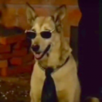 Flancito#7707_C22b's Avatar