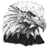 asma0071_Ar9M's Avatar