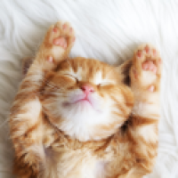 Sudera#3409_om54's Avatar