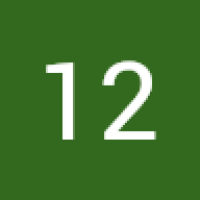 12's Avatar