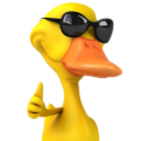 gordolandia_zGT1's Avatar