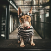 symorius_Qm3Y's Avatar