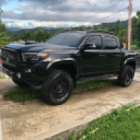 Meloneus#6453_568L's Avatar