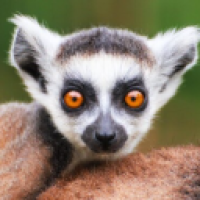 Pasterz#0456_MxBU's Avatar