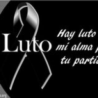 Luis_Fernando's Avatar