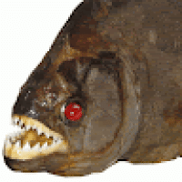 piranhas's Avatar
