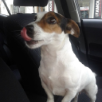 Valentinos#7697_qoVd's Avatar