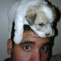 MrLuisRoker's Avatar