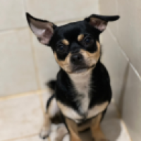 jojoxavier_Cpir's Avatar