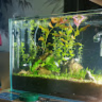 Евгений's Avatar