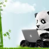 Doble_A-A#2896_p7qX's Avatar