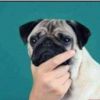 horizon4428_mnj9's Avatar