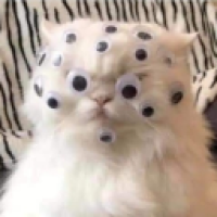 314zderupte_YLlh's Avatar