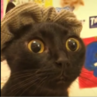 Army#1283_e7lP's Avatar