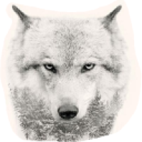 _gustavson_OUHa's Avatar