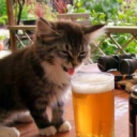 justKirill#5717_XOtQ's Avatar