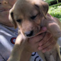 Valentín_González's Avatar