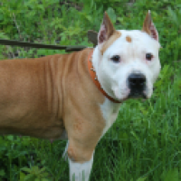 PojiloyKiborg54goda#9389_tDfx's Avatar