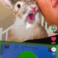 зефирки's Avatar