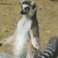 SaveMe#0068_eqvu's Avatar