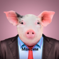 pavuk228#4521_c0rp's Avatar