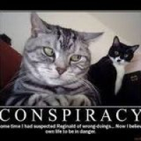 Sleepwalker's Avatar