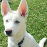 TaRRaci#6176_Jv8x's Avatar