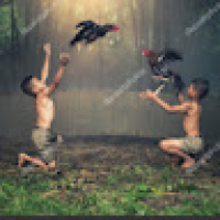 galos_Atleta's Avatar