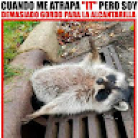 Brando_Bryan's Avatar