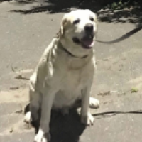 архиферзь#2188_K6TD's Avatar