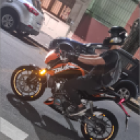 daryfox_3pQc's Avatar