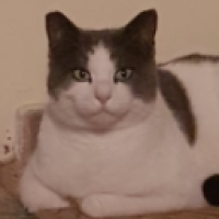 *♠*Ⅎ.∅.R.X.S.⊥*♠*#5274_Lijy's Avatar