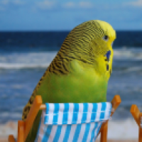 s0lodm_8Inh's Avatar