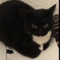 beetwinz_V4OQ's Avatar