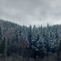 Jelezo-Ivan#7034_JRrY's Avatar