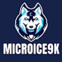 MicroIce9k's Avatar