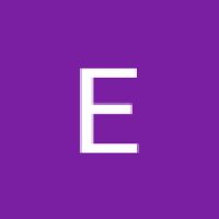 E's Avatar