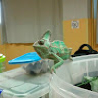 Franco_Agustin's Avatar