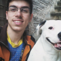 rodrigoflorencio_knyo's Avatar