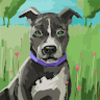 Neto_Vítor's Avatar