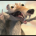 krzysztofjaroslw_7k8f's Avatar