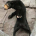 Solrac's Avatar
