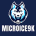 MicroIce9k's Avatar